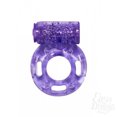  1:       Rings Axle-pin