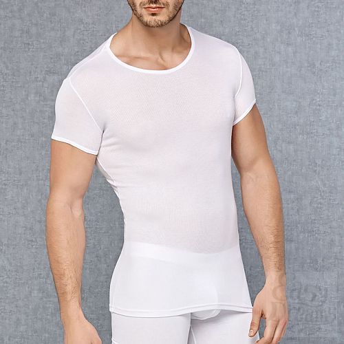 ���������� 3  ������� ������������ �������� � ������ ������