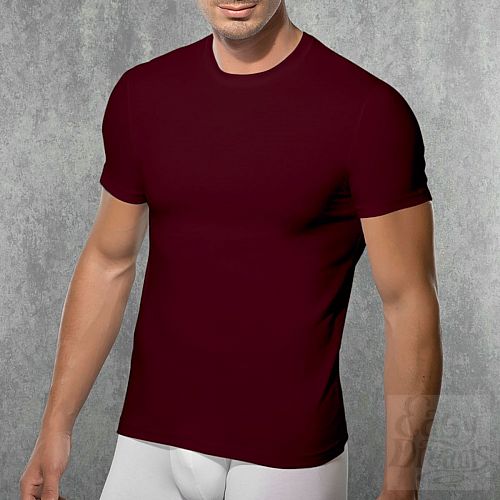 ���������� 1:  �������� �� ������ �� ��������-��������� ����� 