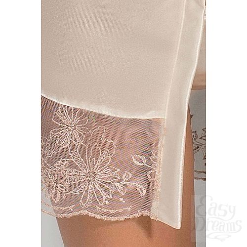 ���������� 2  ����������� ������� Lotus � ��������� � ������� �����