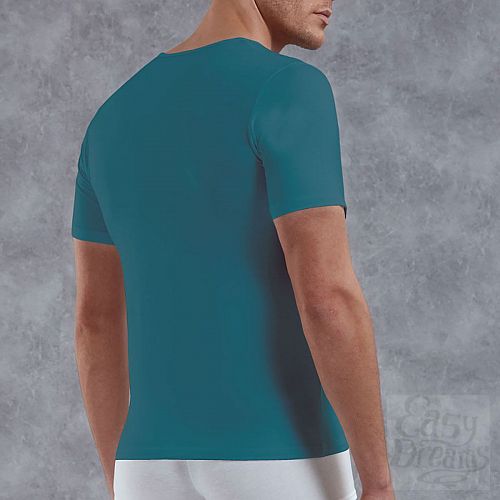 ���������� 2  ������� �������� � V-�������� �������