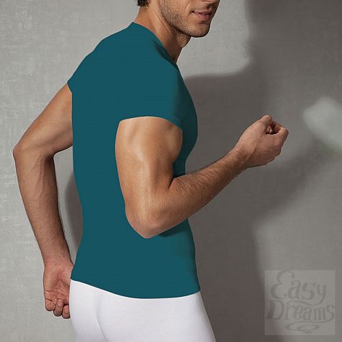 ���������� 4  �������� �� ��������-��������� �����