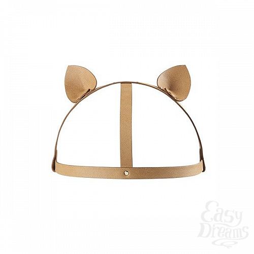 ���������� 3  ����� �� ������ � ������