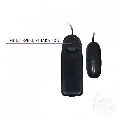 ���������� 5  �����������-����� � ��������� Temptation Passion Lady