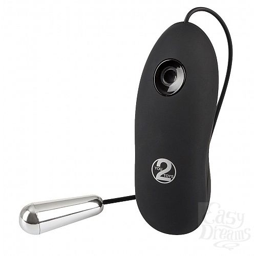 ���������� 1:  ����������� ��������� � ������� Petite Bullet