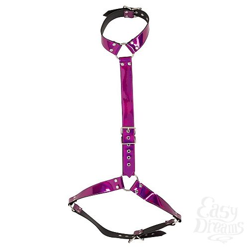 ���������� 5  �������-������� ����� �� ��� � ����� Bad Kitty Body Harness