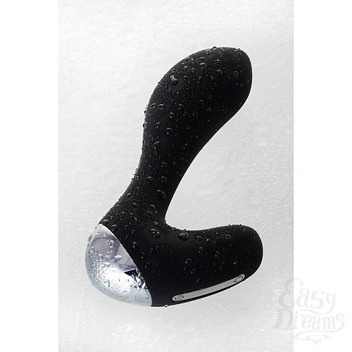 ���������� 13  ׸���� ������������� �������� Pro-P � ������� ��