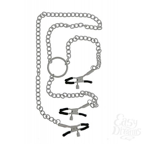 ���������� 1:  ������ �� �����, ����������� ����� � ������� ��� �������