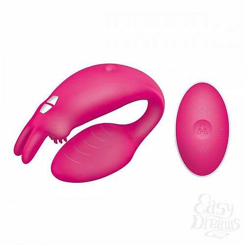  2      The Couples Rabbit