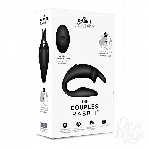  2  ׸    The Couples Rabbit