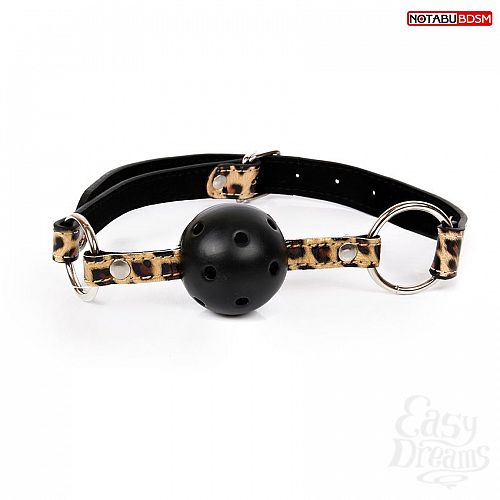  1:   - Ball Gag   