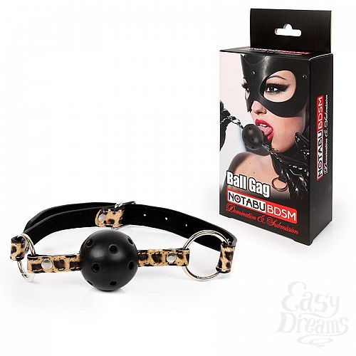  3   - Ball Gag   