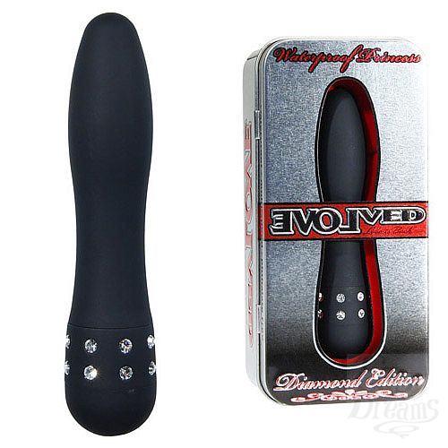 ���������� 1:  �������� � ������� PRINCESS ������ EN-AD-0002-06-2