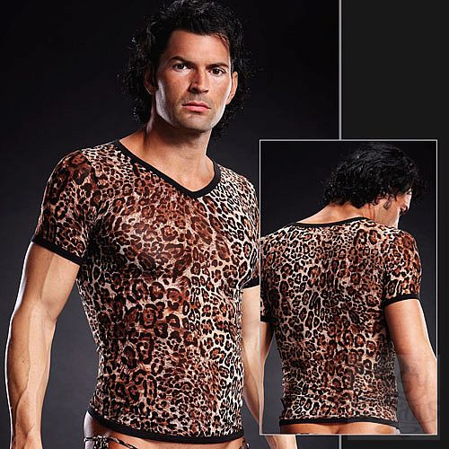 ���������� 1:  �������� �������� ����������� BLM020-LEO S / M