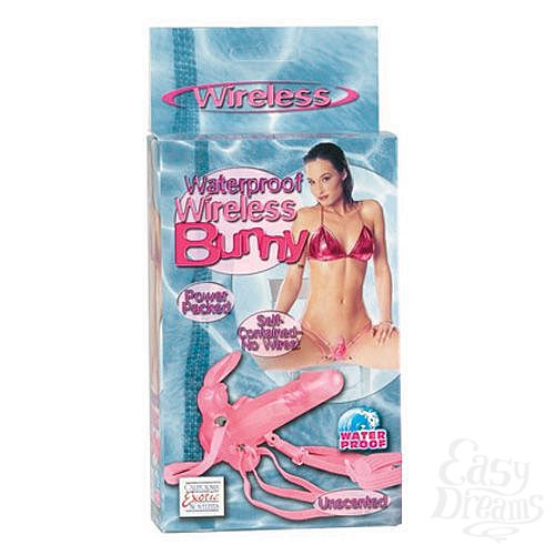 ���������� 3  ����������� �������� � ������ ��� ������� BUNNY 0574-04 BX SE