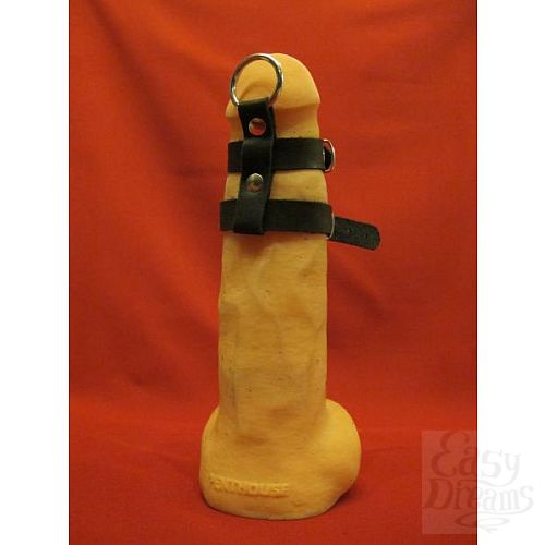 ���������� 1:  ����� �� ������