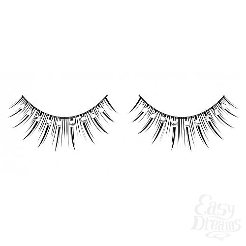 ���������� 1:  ������� ������ � �����������  ��������