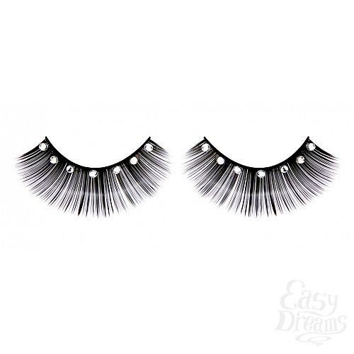 ���������� 1:  ������� ������ � �����������  ��������