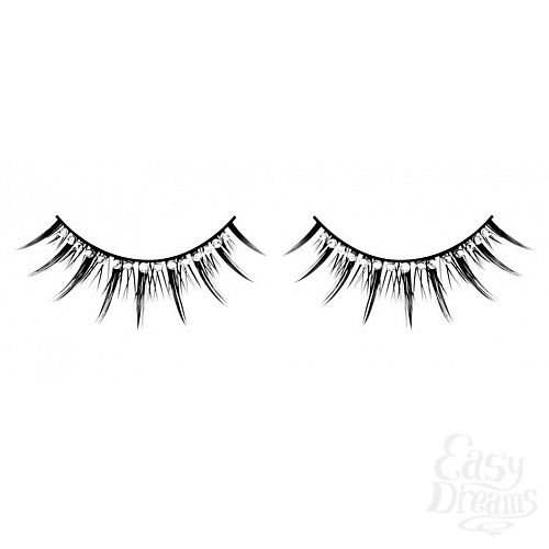 ���������� 1:  ������� ������ � �����������  ��������