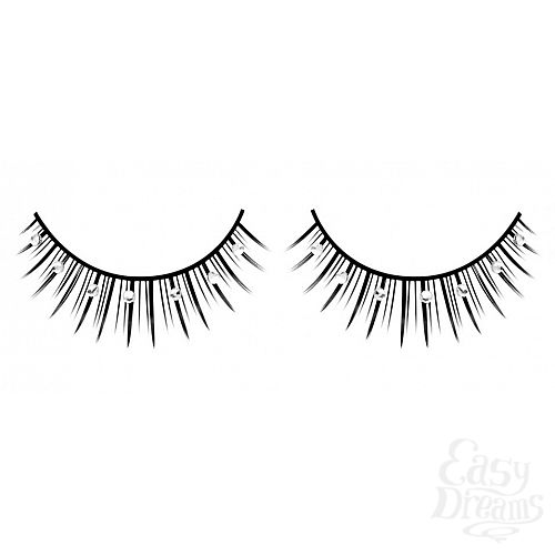 ���������� 1:  ������� ������ � �����������  ��������