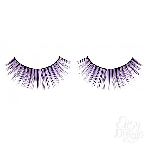 ���������� 1:  ������� �����-����������