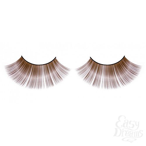 ���������� 1:  ������� ����-����������