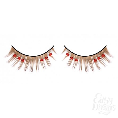 ���������� 1:  ������� ���������� � �������� ��������