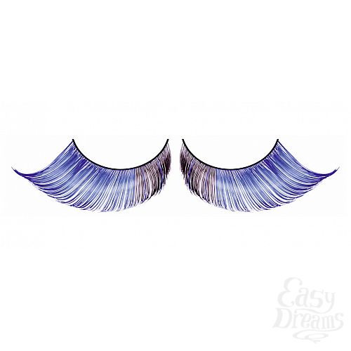 ���������� 1:  ������� ������-�����  �����