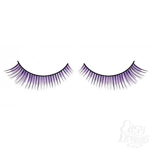 ���������� 1:  ������� �����-����������