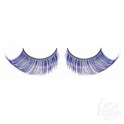 ���������� 1:  ������� ������-�����  �����