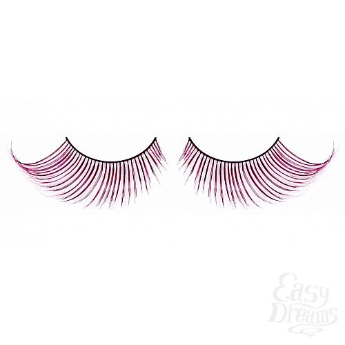 ���������� 1:  ������� ������-�������  �����