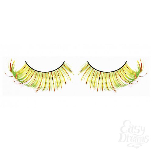 ���������� 1:  ������� ����-��������-�������