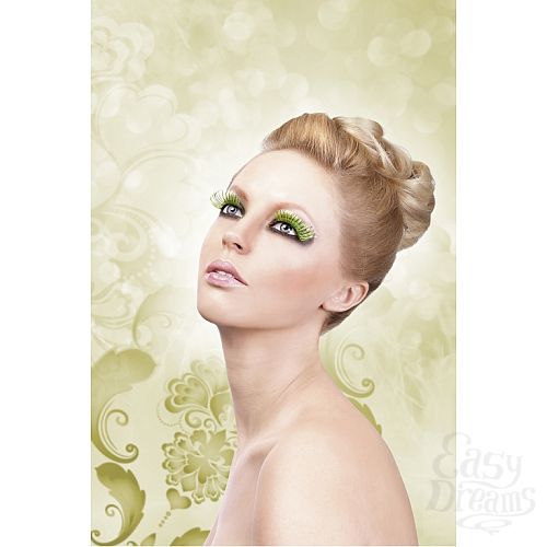 ���������� 2  ������� ����-��������-�������