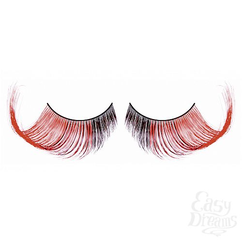 ���������� 1:  ������� ���������-�������