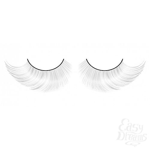 ���������� 1:  ������� ����-�����