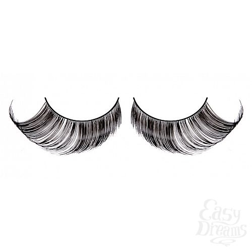 ���������� 1:  ������� ������  �����