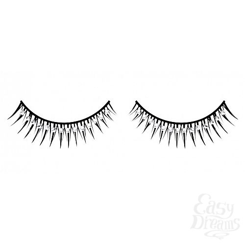 ���������� 1:  ������� ������ � �����������  ��������