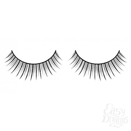 ���������� 1:  ������� ������ ��������� Premium