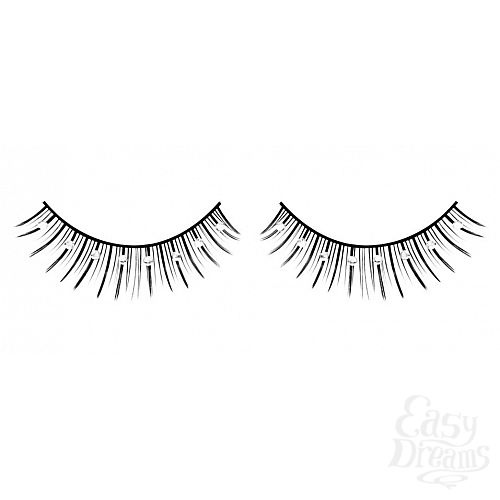 ���������� 1:  ������� ������ � �����������  ��������