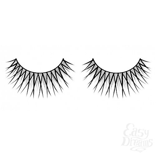 ���������� 1:  ������� ������ ��������� Premium