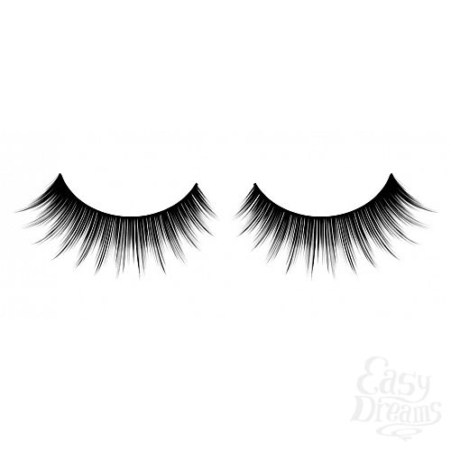 ���������� 1:  ������� ������ ��������� Premium