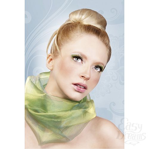 ���������� 2  ������� ������ ��������� Premium