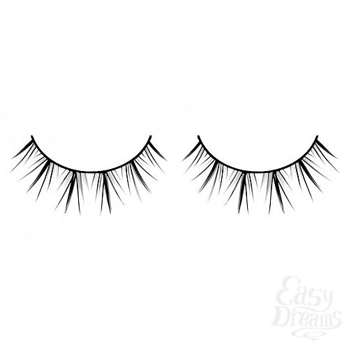 ���������� 1:  ������� ������ ��������� Premium