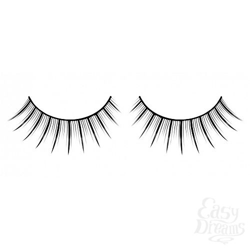 ���������� 1:  ������� ������ ��������� Premium