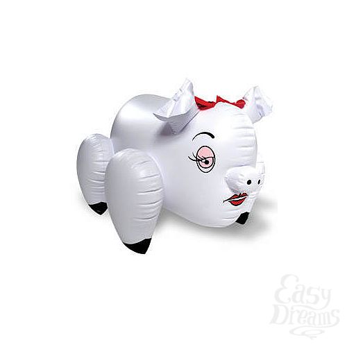 ���������� 2  ����������� ���������