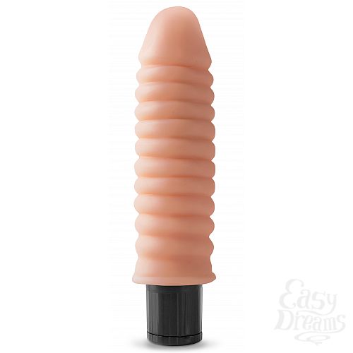 ���������� 2  ������������ �������������  7