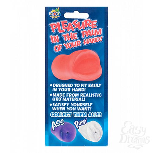 ���������� 2  ���� �����-����������� PALM PAL