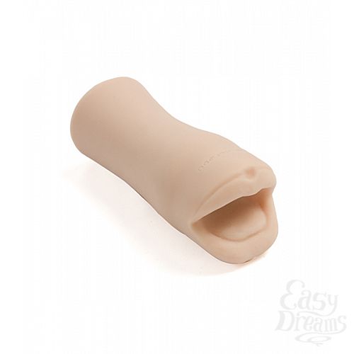 ���������� 1:  �����-����������� PALM PAL