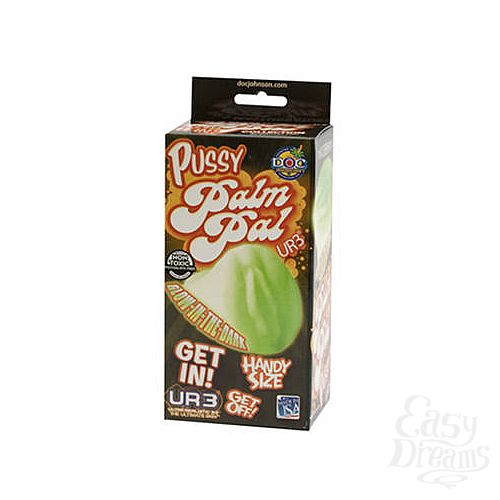 ���������� 1:  ���������� ������ PALM PAL