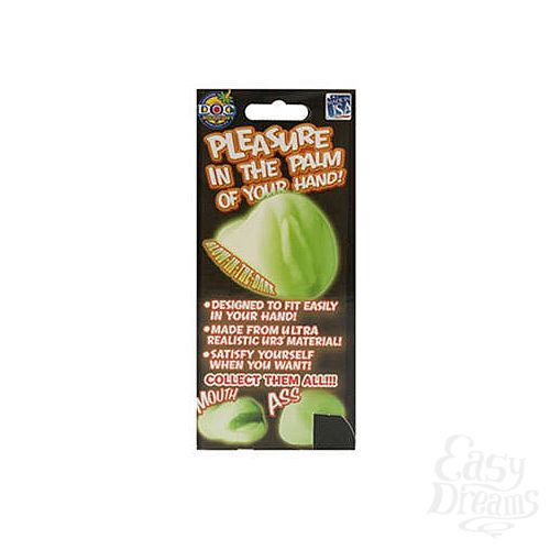 ���������� 2  ���������� ������ PALM PAL